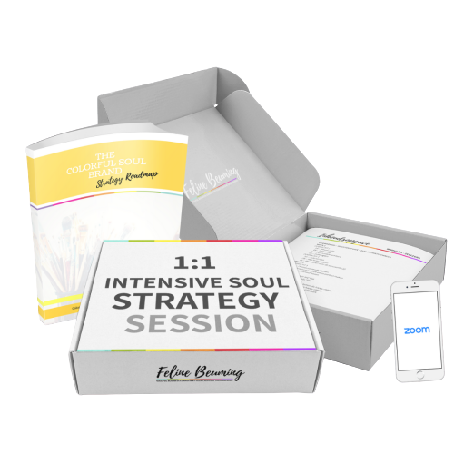 Soul Strategy Session | 1:1 Intensive